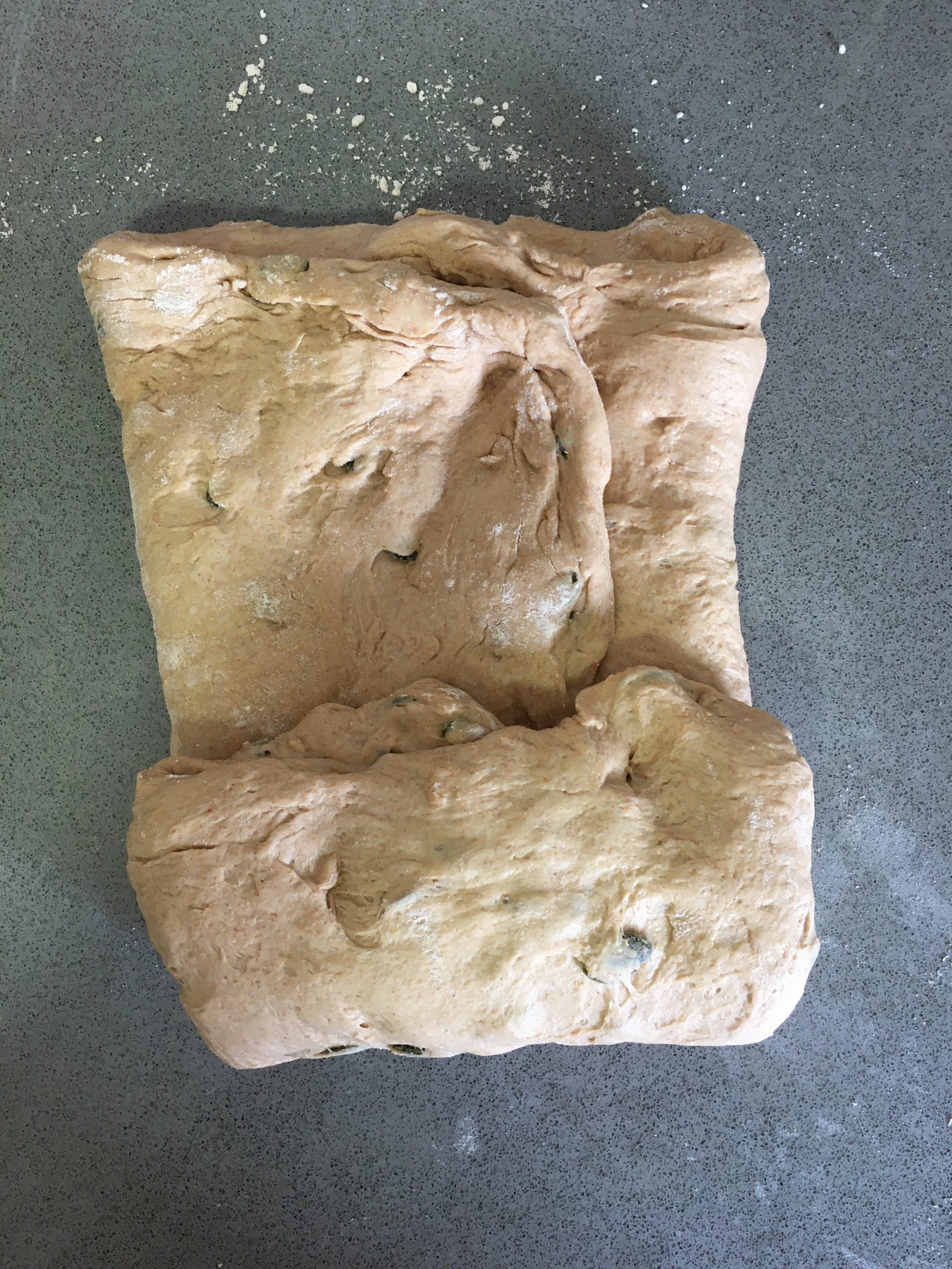 לחם מקמח כוסמין מלא עם גרעינים | צילום: ספיר דהן
